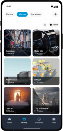 Capsyl 25.12 Grid/List View